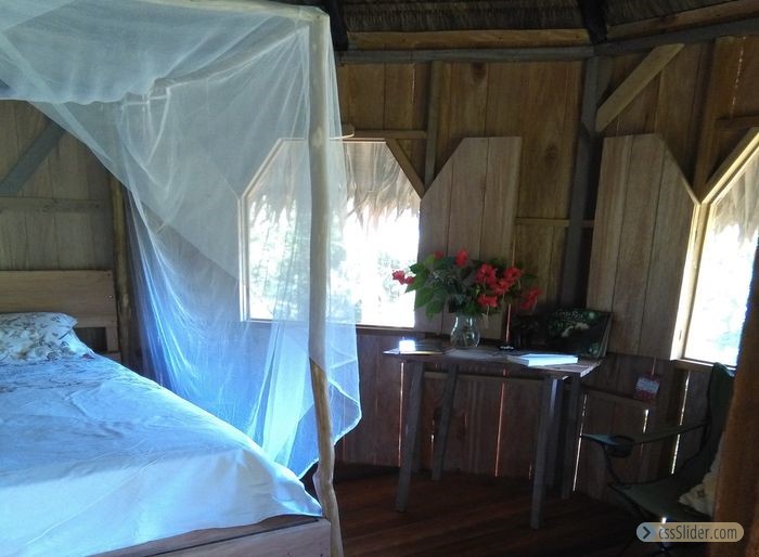 ecolodge_sud_costa_rica_13
