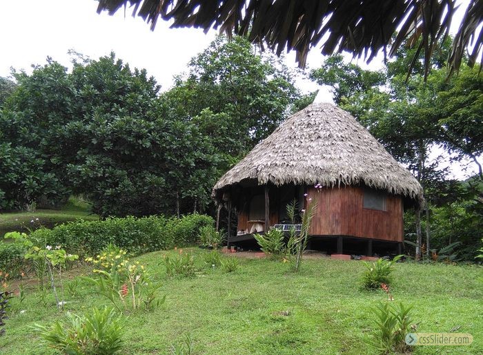 ecolodge_sud_costa_rica_14