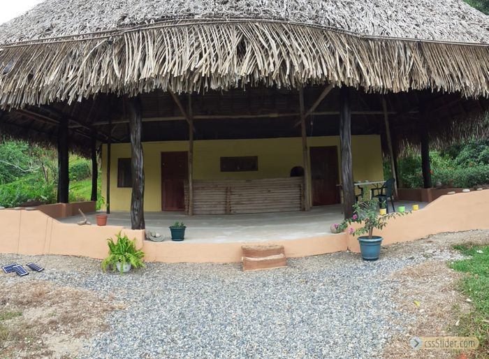 ecolodge_sud_costa_rica_2