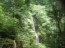 ecolodge_sud_costa_rica_1