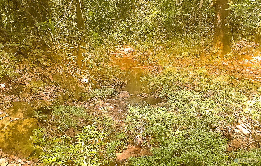 finca_10has_hojancha_costa_rica_7