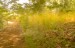 finca_10has_hojancha_costa_rica_10