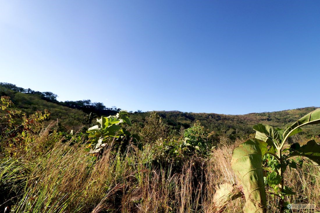 finca_13has_los_angeles_hojancha_costa_rica_3copy