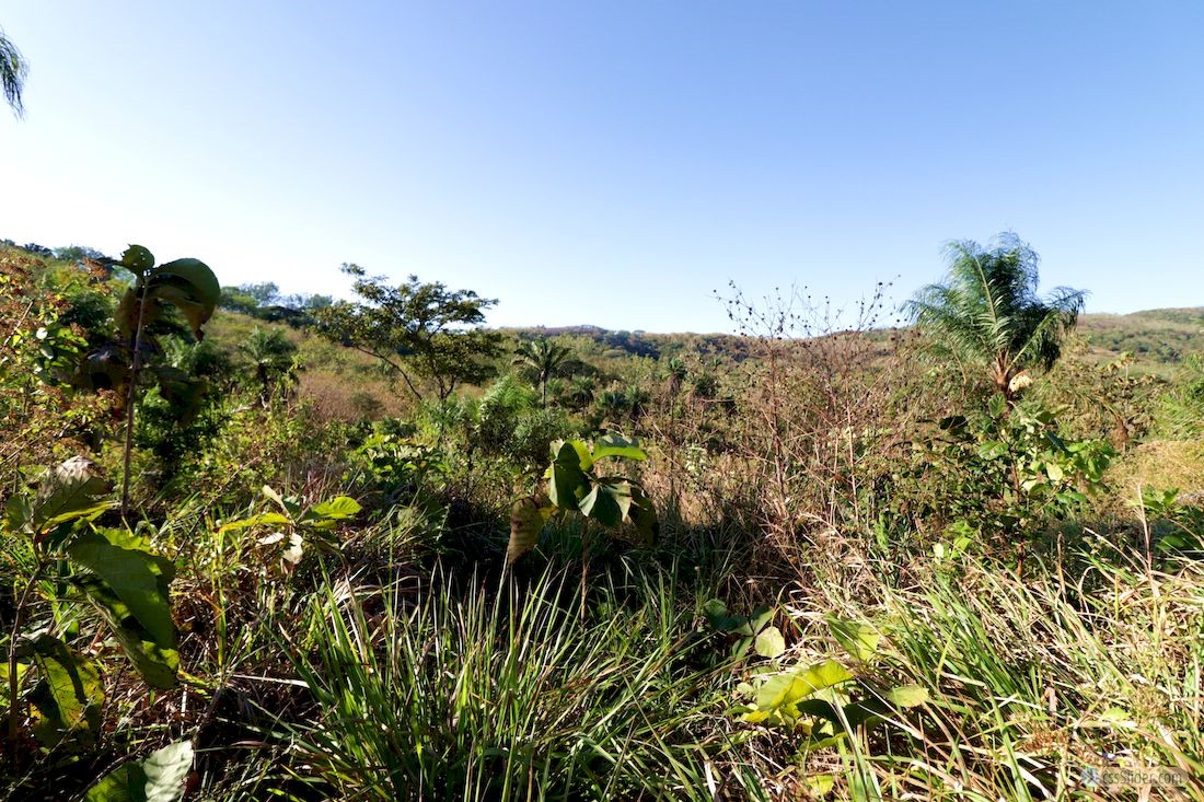 finca_13has_los_angeles_hojancha_costa_rica_8copy