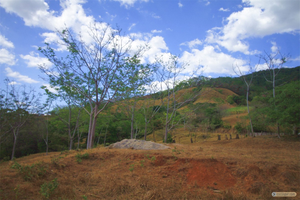 finca_18has_maravilla_costa_rica_2