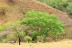 finca_18has_maravilla_costa_rica_4