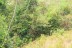 finca_18has_maravilla_costa_rica_7