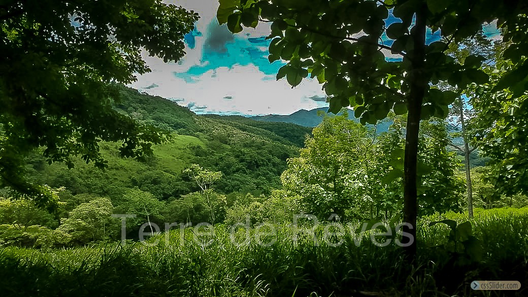 finca_21has_hojancha_costa_rica_4