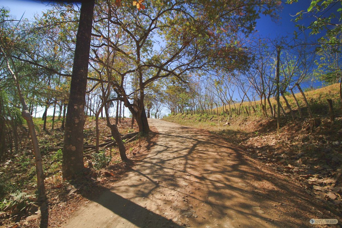 finca_4has_hojancha_costa_rica_12