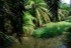 finca_68has_puerto_cortes_costa_rica_17
