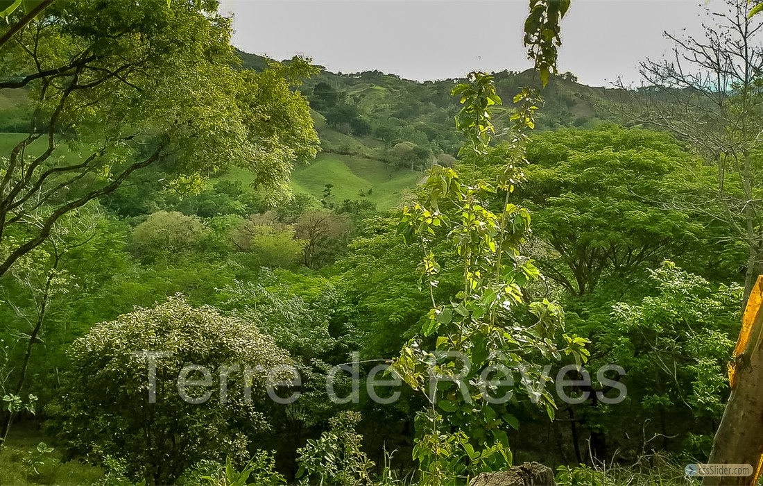finca_8has_1_hojancha_costa_rica_2