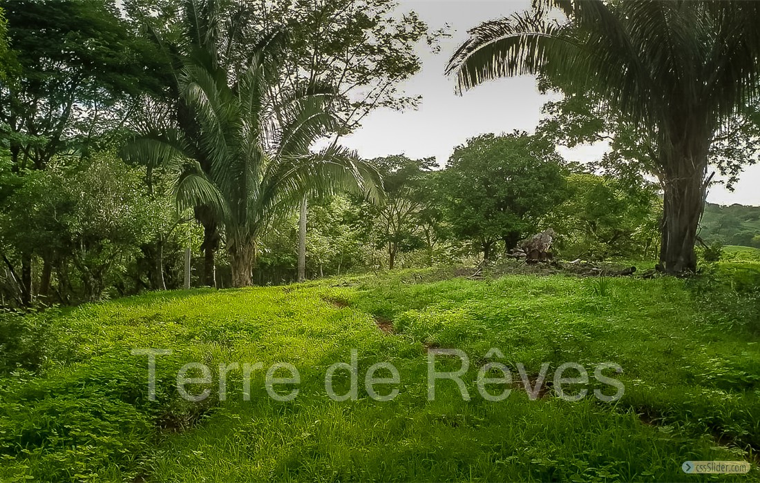 finca_8has_1_hojancha_costa_rica_3