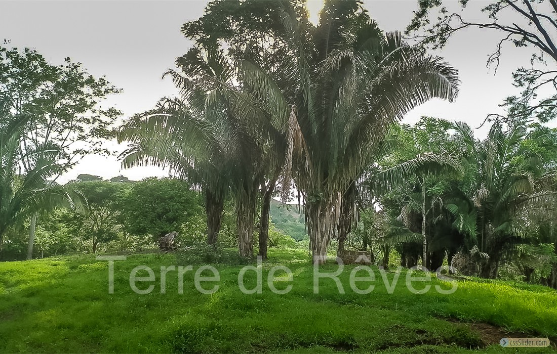 finca_8has_1_hojancha_costa_rica_5