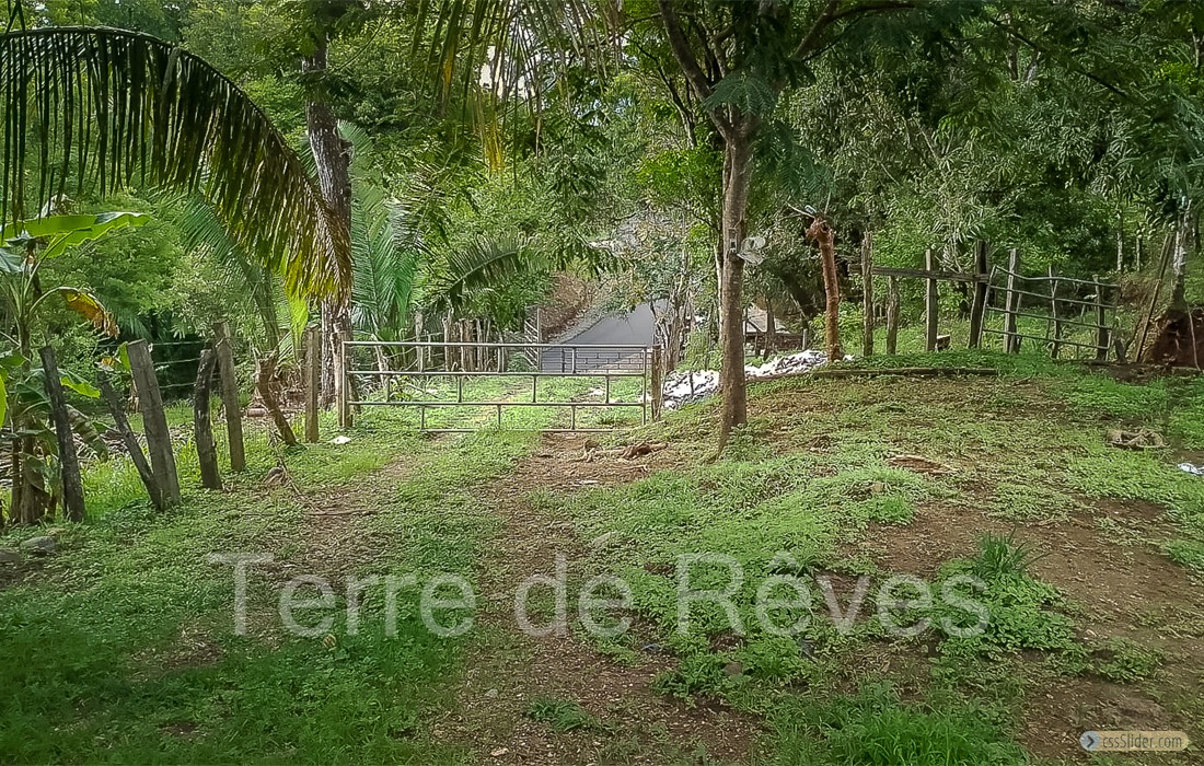 finca_8has_1_hojancha_costa_rica_6