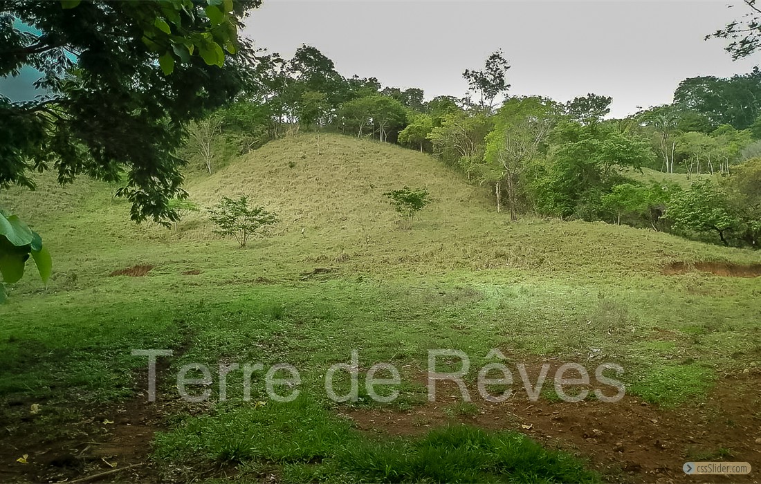 finca_8has_1_hojancha_costa_rica_8