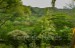 finca_8has_1_hojancha_costa_rica_2