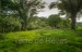 finca_8has_1_hojancha_costa_rica_3