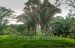 finca_8has_1_hojancha_costa_rica_5