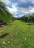 finca_cacao_nord_costa_rica_13copy