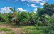 finca_cacao_nord_costa_rica_11copy