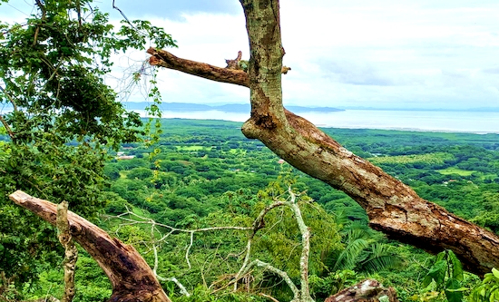 Vue de la finca de Jicaral, Costa Rica