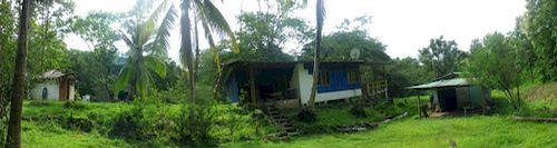 Vue de la finca de Pochote, costa rica