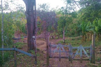Vue de la finca de Pochote, costa rica