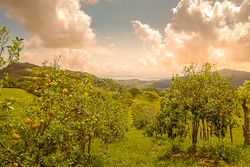 Vue de la finca de Hojancha, Costa Rica