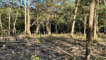 Vue du terrain de Samara, Costa Rica
