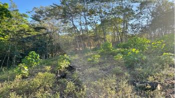 Vue du terrain de Samara, Costa Rica