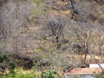 Vue du terrain d'Ocotal, Costa Rica