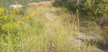 Vue du terrain de Potrero, Costa Rica