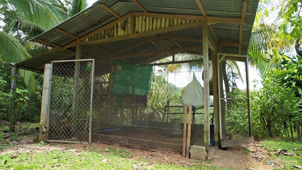 maison_145m2_ojochal_costa_rica_12_