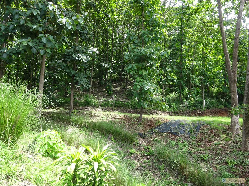 maison_50m2_samara_costa_rica_20