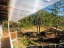 maison_50m2_samara_costa_rica_8