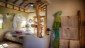 maison_p_montana_grande_costa_rica_12