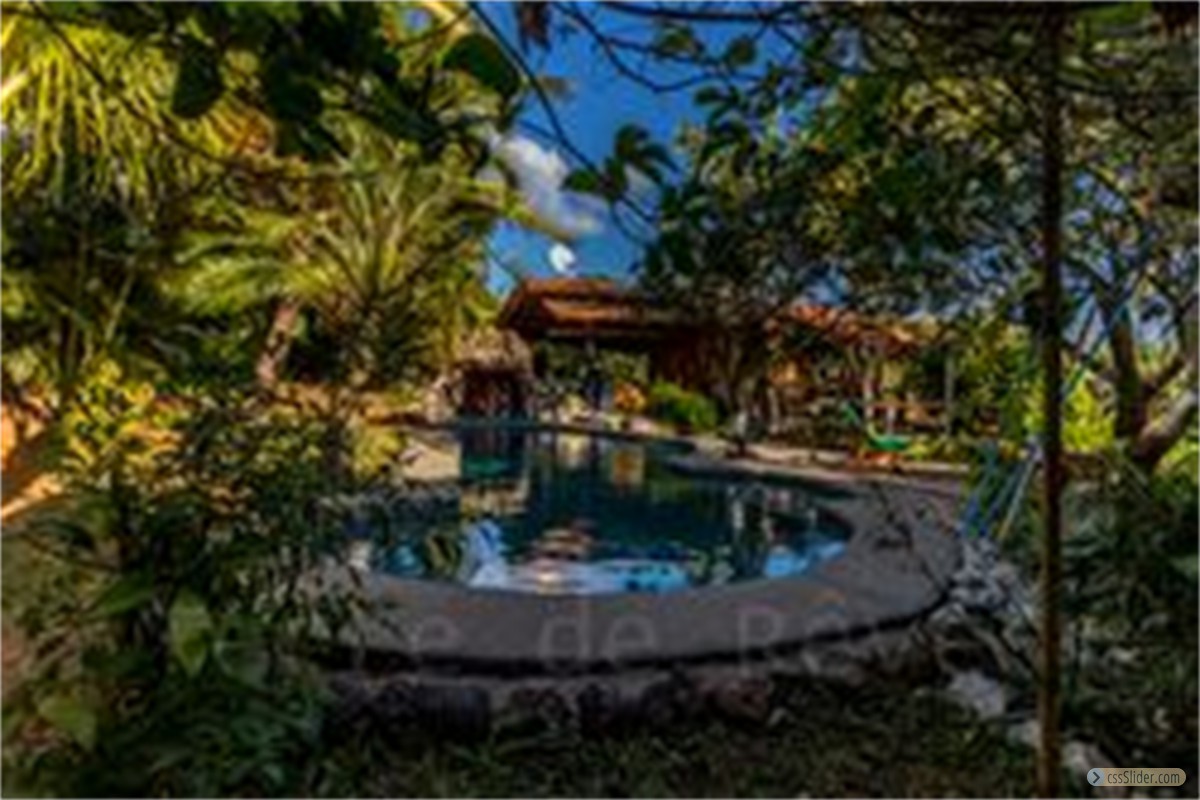 maison_k_san_isidro_hojancha_costa_rica_10copycopy