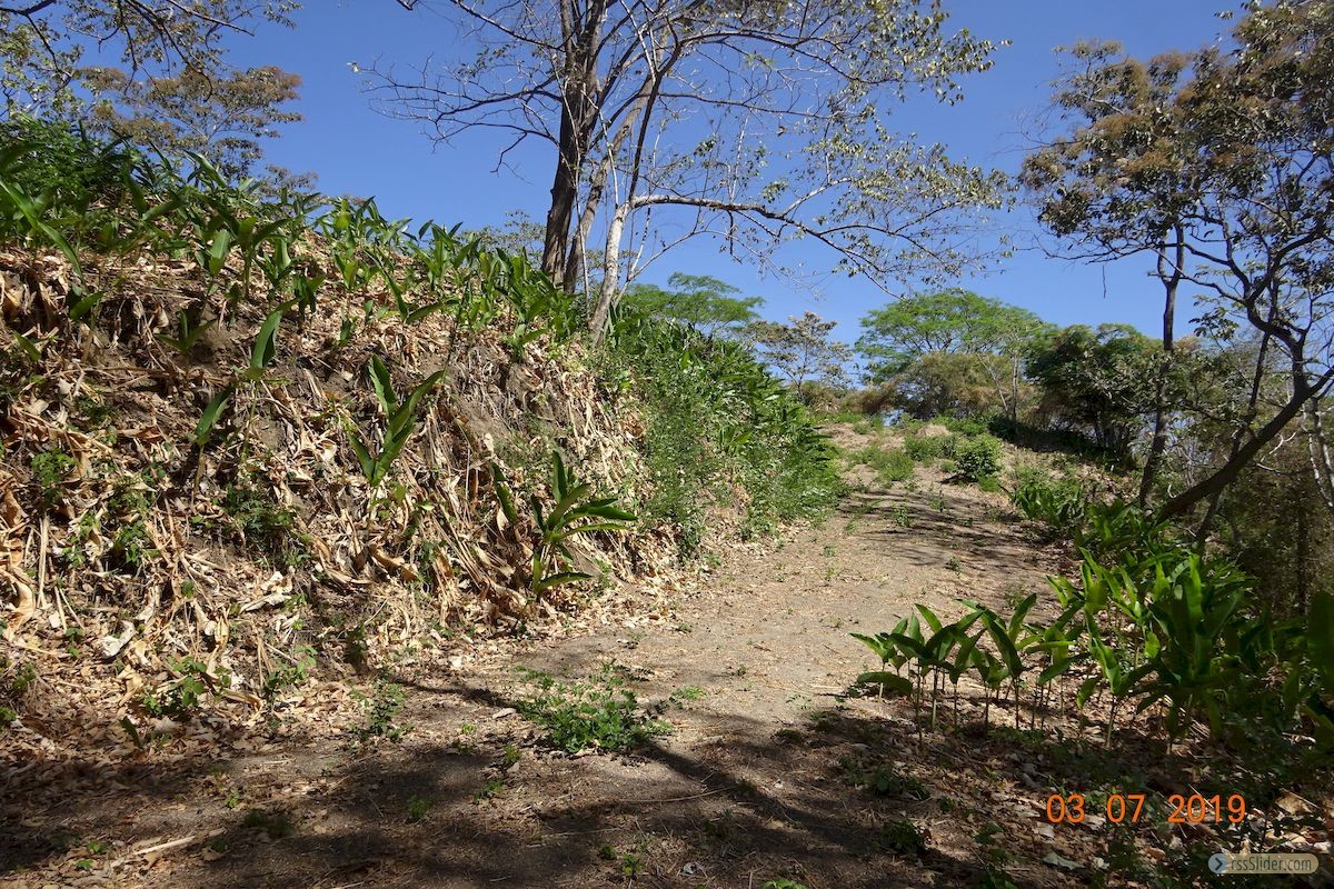 terrain_12000m2_samara_costa_rica_3