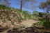 terrain_12000m2_samara_costa_rica_3