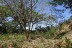 terrain_12000m2_samara_costa_rica_5