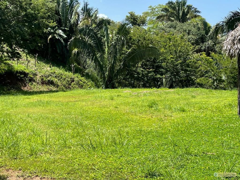 terrain_3200m2_carrillo_costa_rica_3