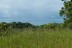 terrain_4216m2_ojochal_costa_rica_3