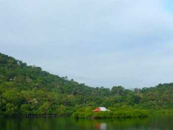 Vue de la finca de 14 has de Bocas del Toro, Panama