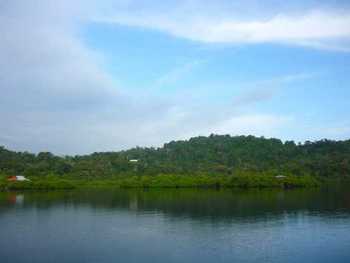 Vue de la finca de 14 has de Bocas del Toro, Panama