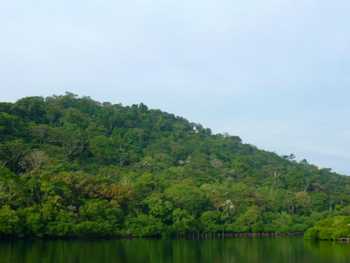 Vue de la finca de 14 has de Bocas del Toro, Panama