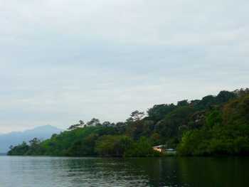 Vue de la finca de 14 has de Bocas del Toro, Panama