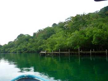 Vue de la finca de 14 has de Bocas del Toro, Panama
