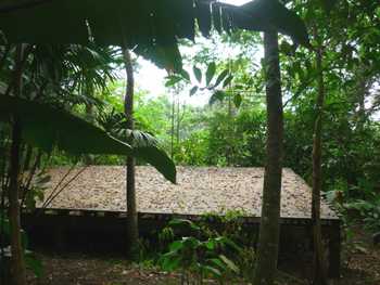 Vue de la finca de 14 has de Bocas del Toro, Panama