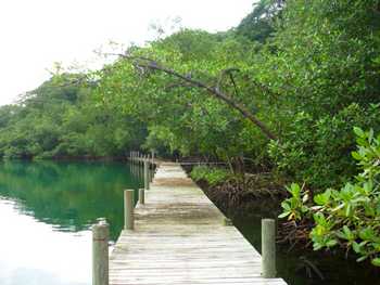 Vue de la finca de 14 has de Bocas del Toro, Panama