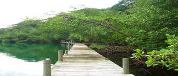 Vue de la finca de 14 has de Bocas del Toro, Panama